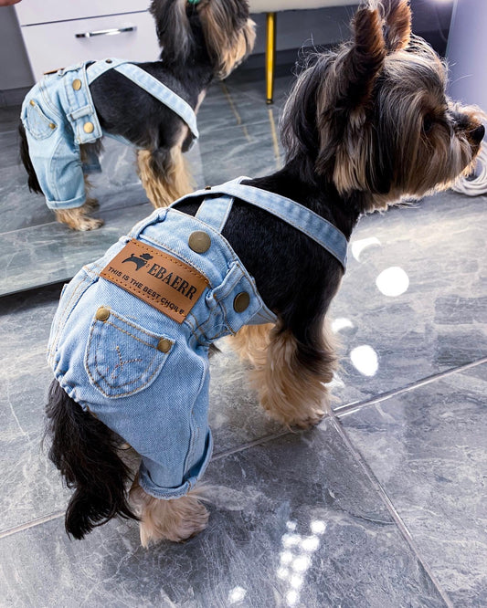 Stylish jeans for your pet 🐶