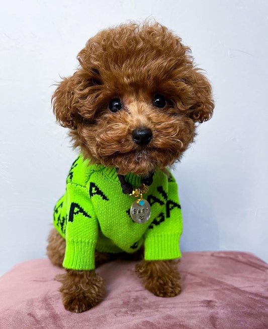 Stylish and bright sweater 💚