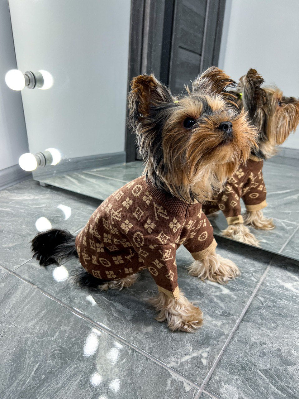 Sweater for dogs