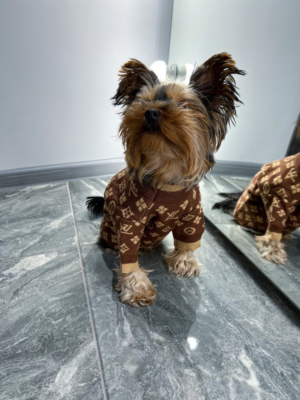 Sweater for dogs