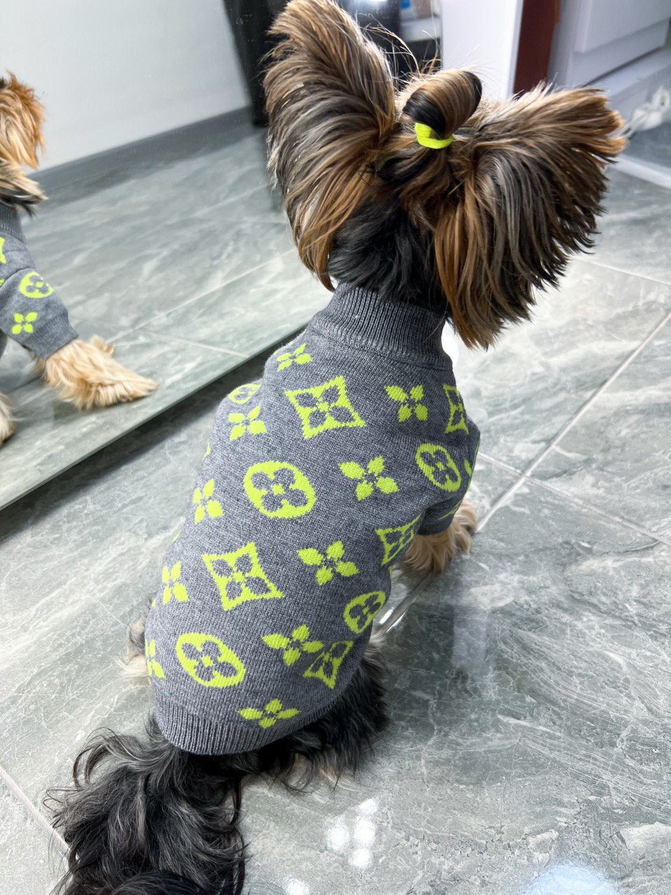 Sweater for dogs