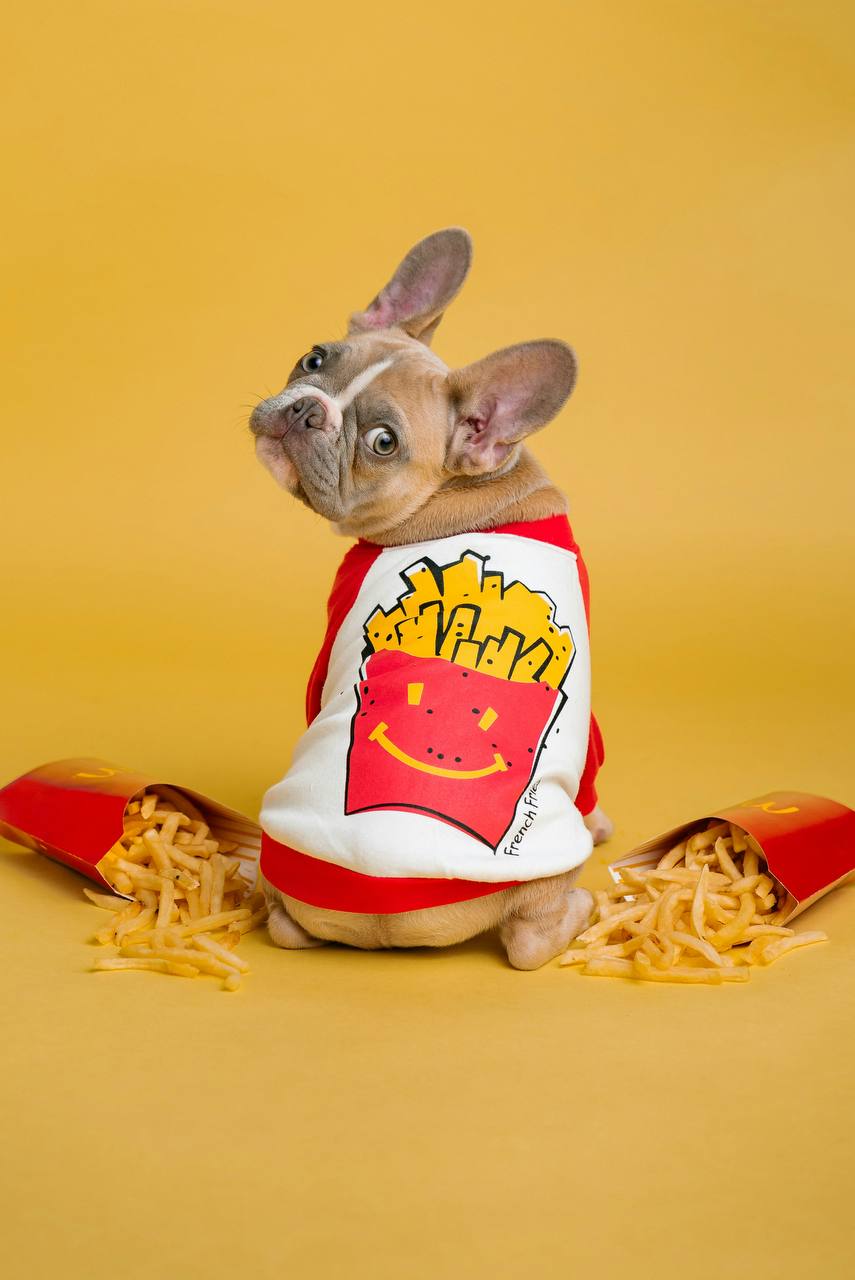 Sweatshirt with French fries