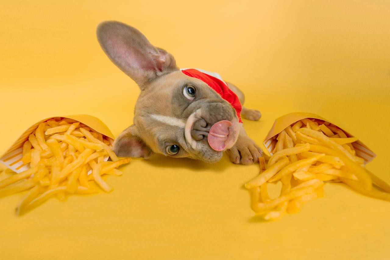 Sweatshirt with French fries