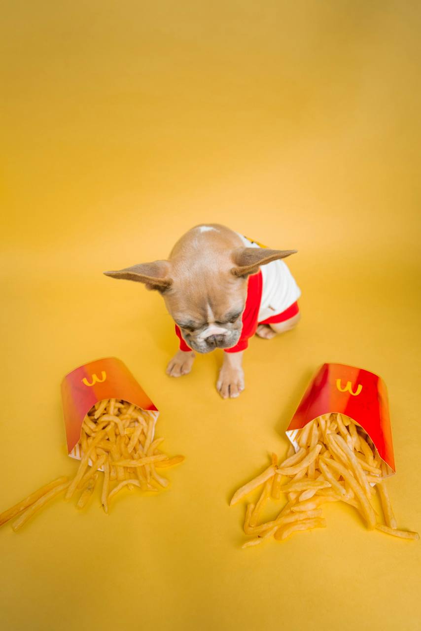 Sweatshirt with French fries