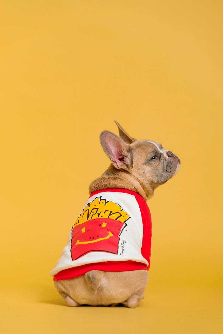 Sweatshirt with French fries