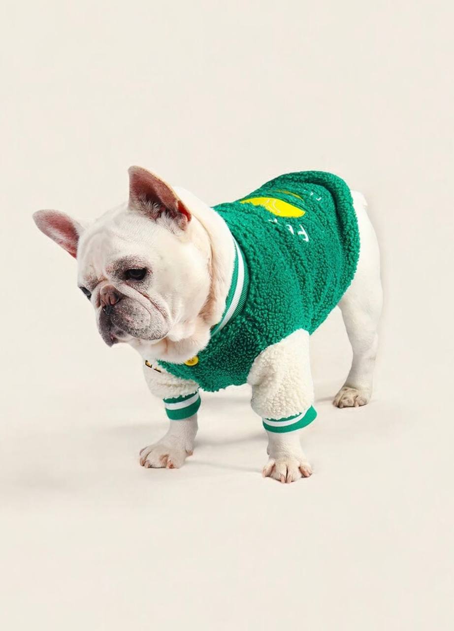 Stylish bomber jacket for dogs