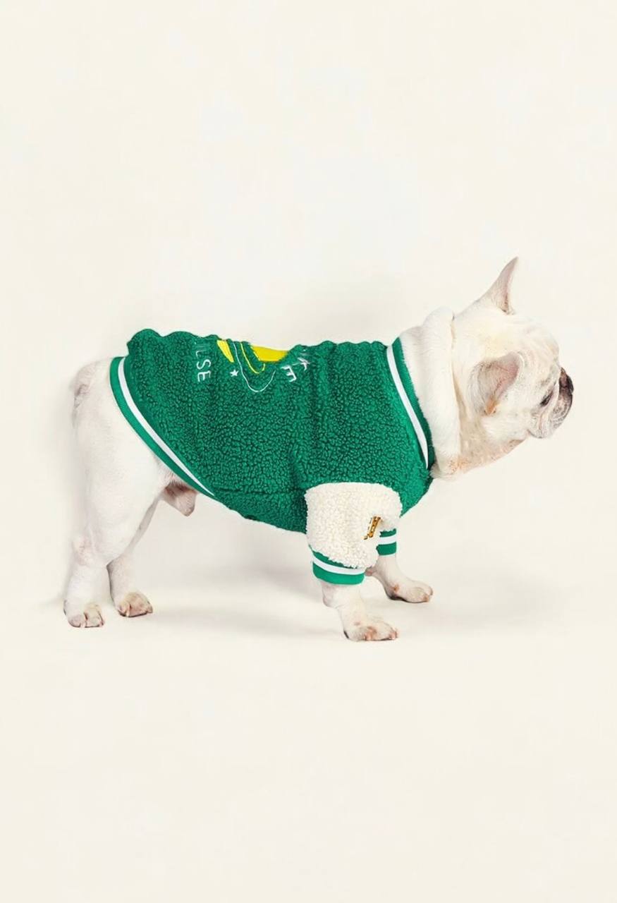 Stylish bomber jacket for dogs