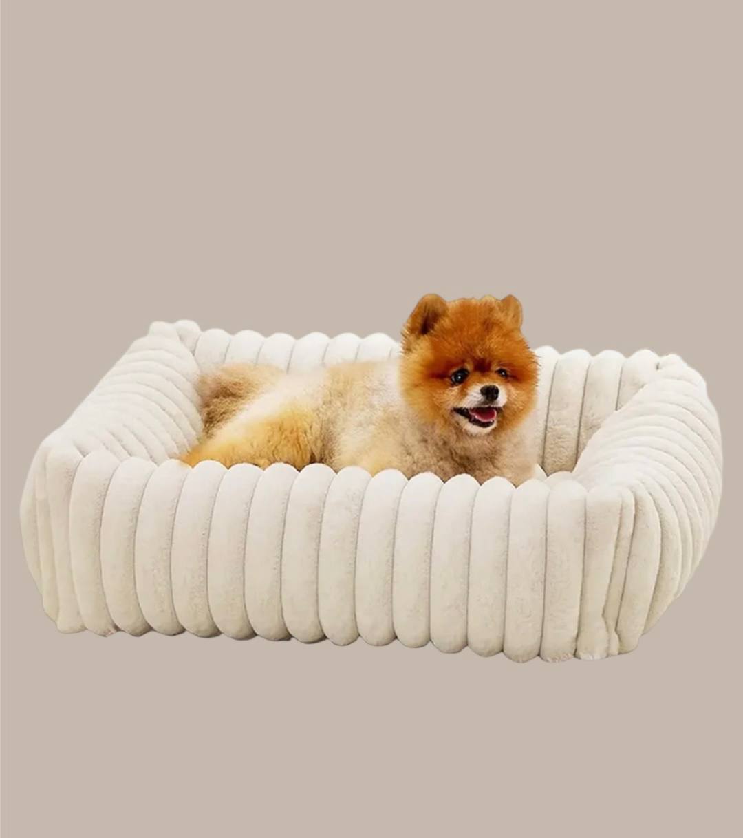 Dog bed