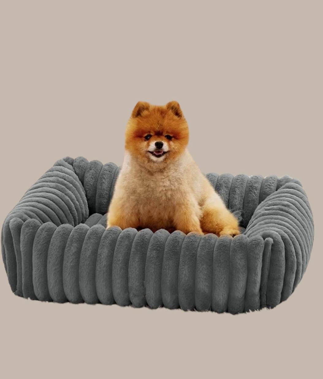 Dog bed