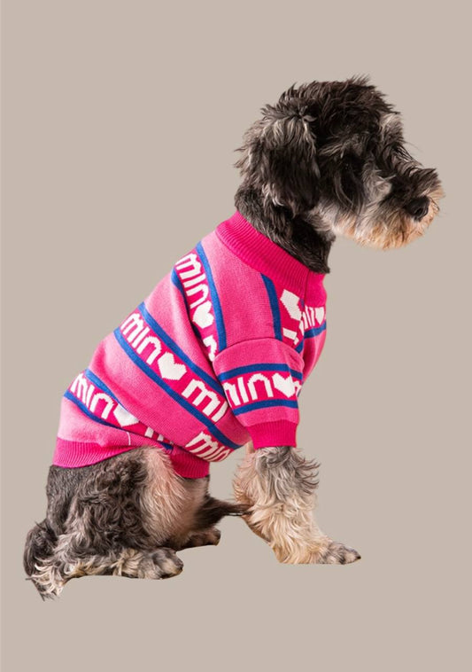 Sweater for dogs