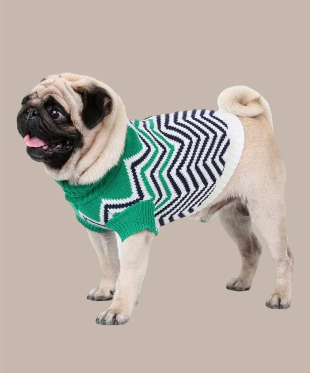 Sweater for dogs