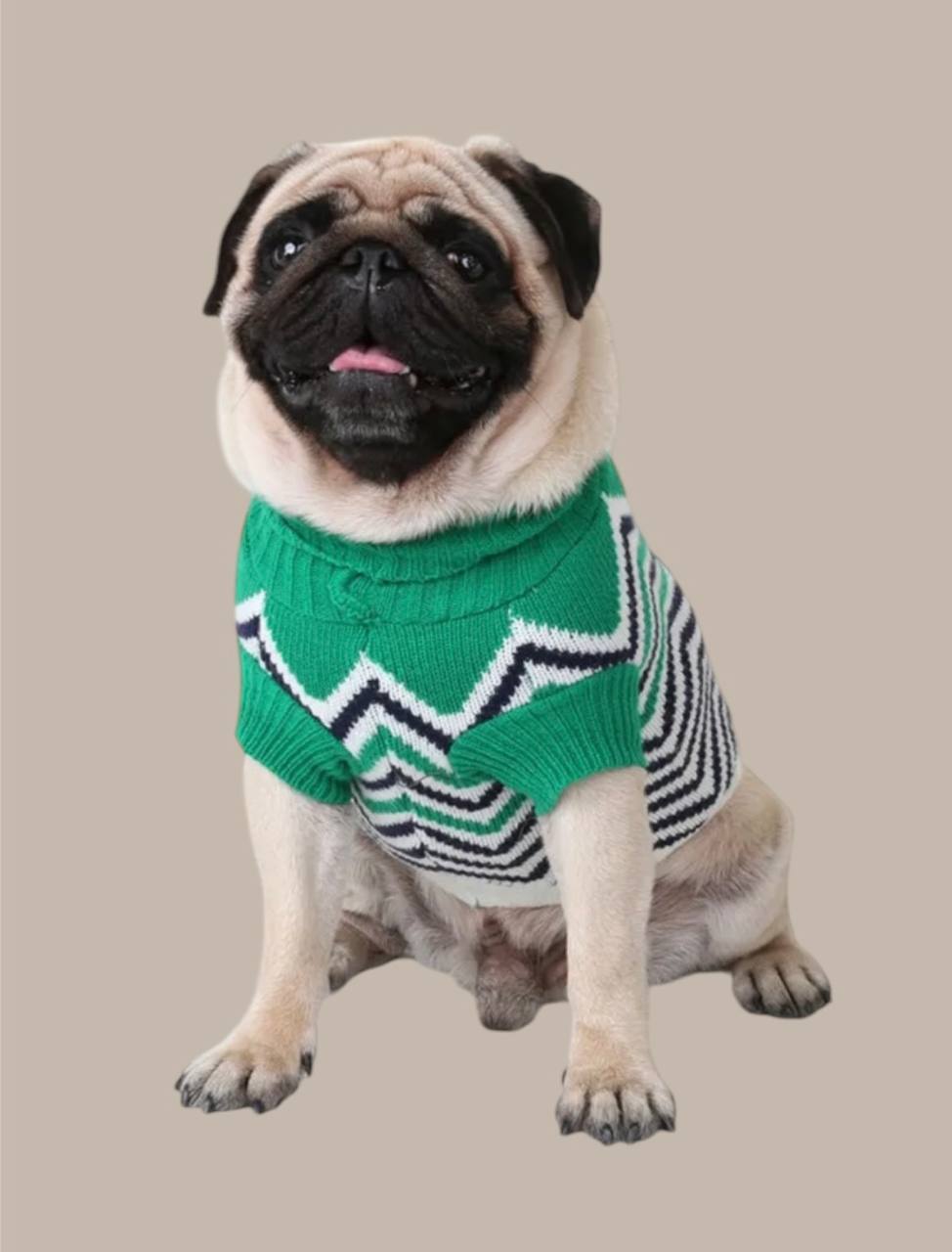 Sweater for dogs