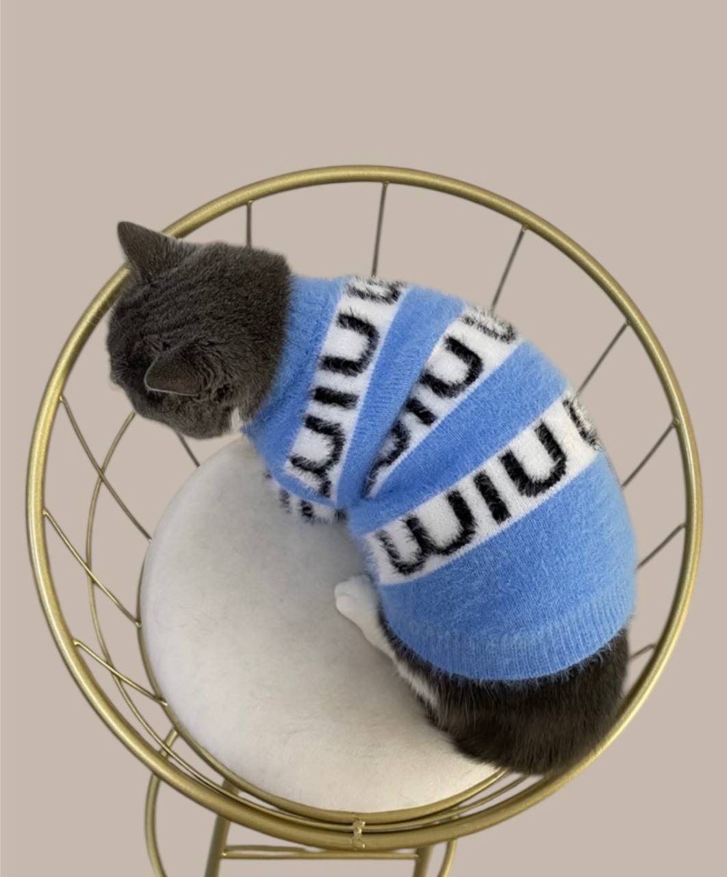 Trendy cardigan for your pet