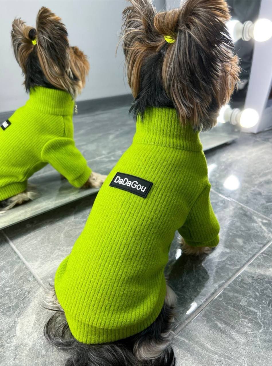 A bright sweater for a ponytail 🐶