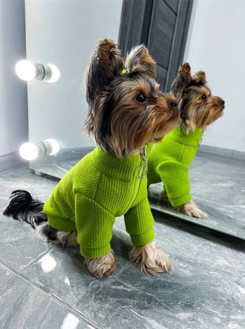 A bright sweater for a ponytail 🐶