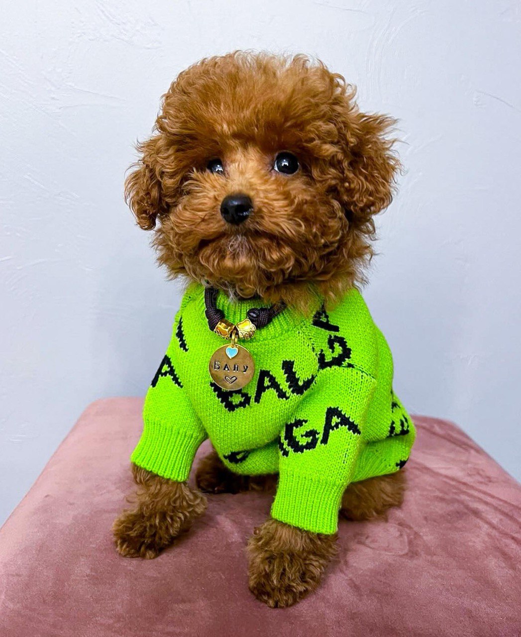 Stylish and bright sweater 💚