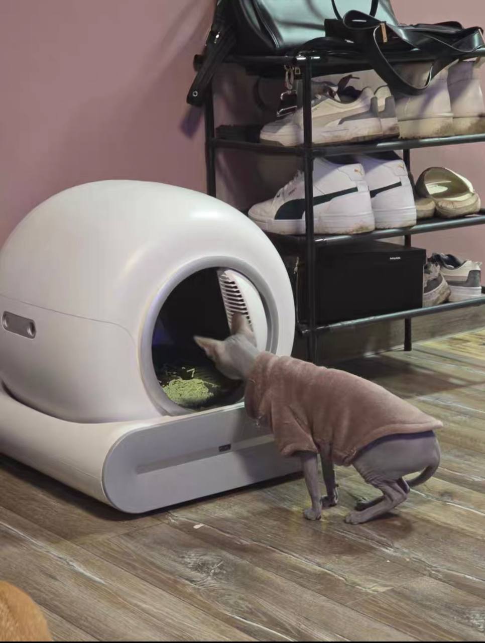 Automatic Smart Cat Litter