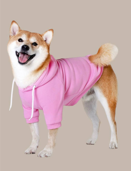 Hoodie for medium and large dogs