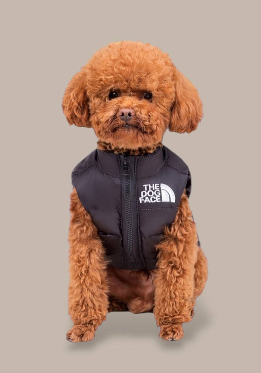 Vest for your pet