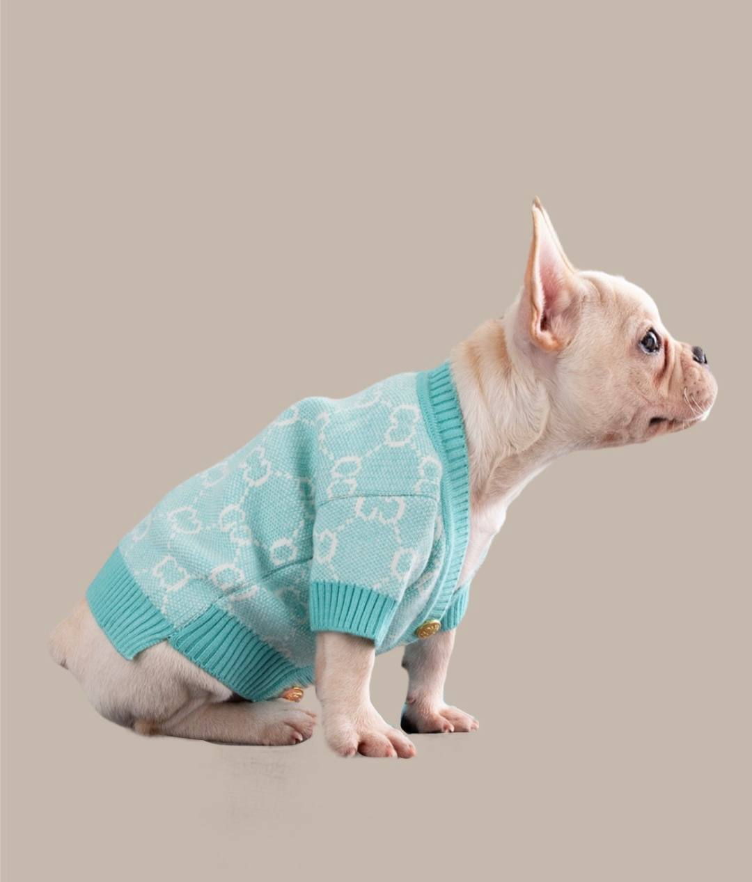 Cardigan for pet