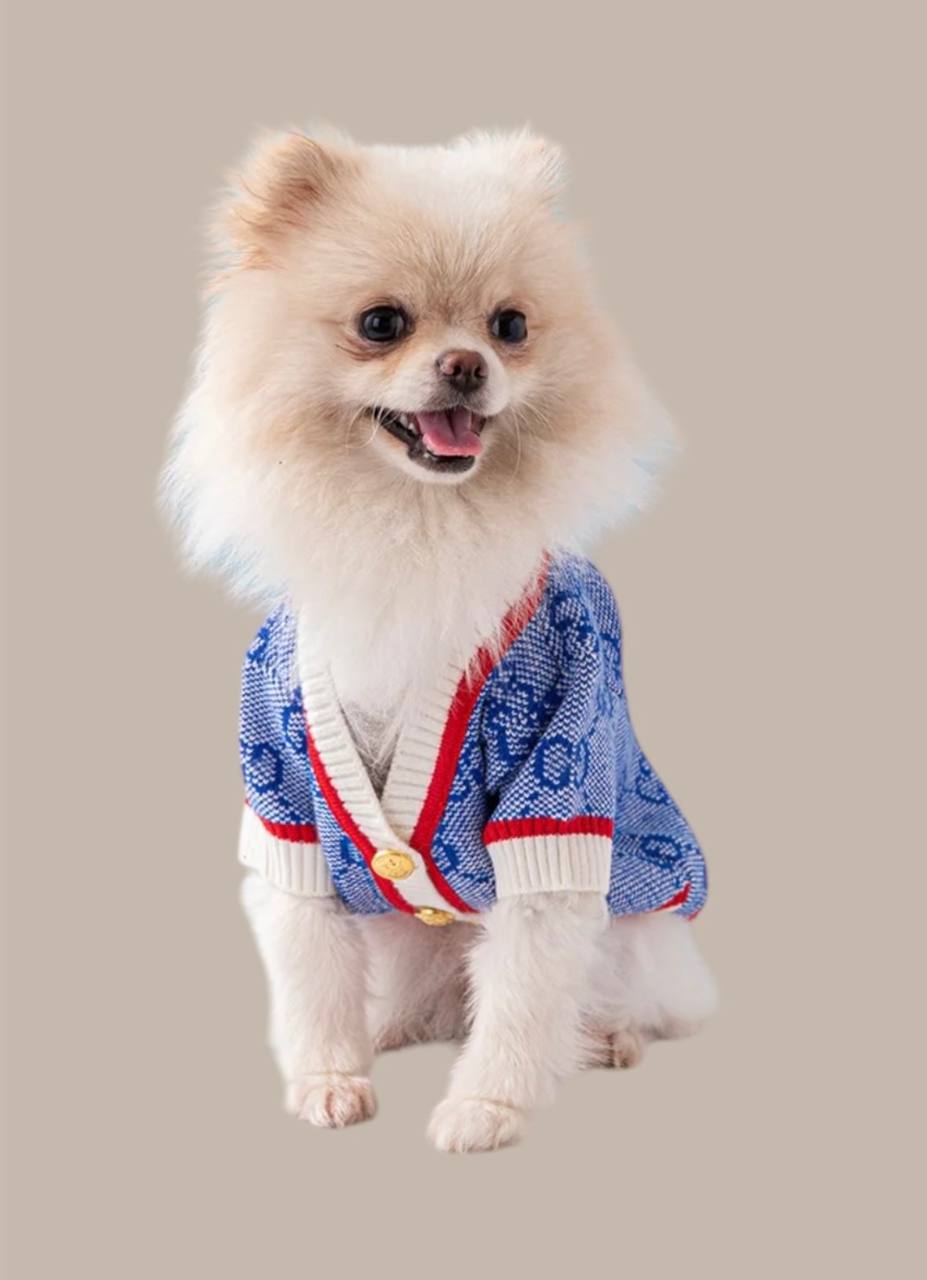 Cardigan for pet