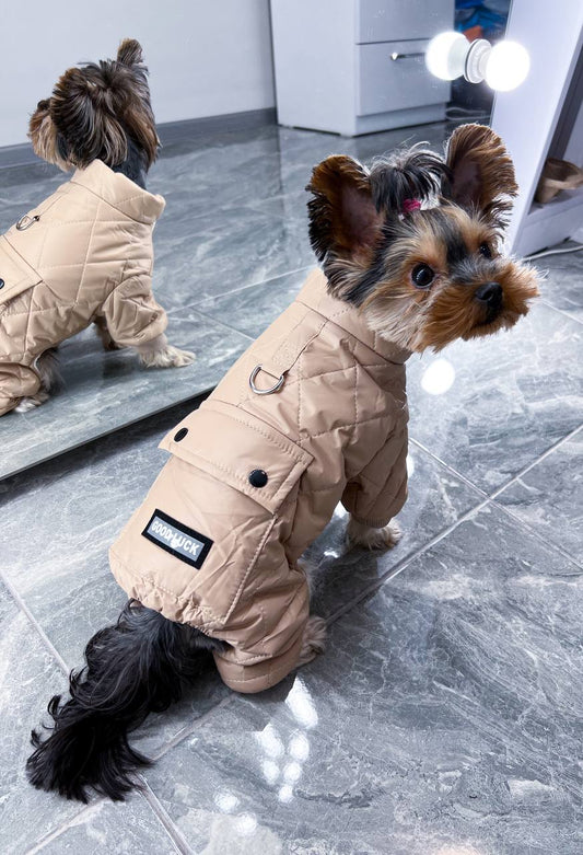 Overalls for a dog