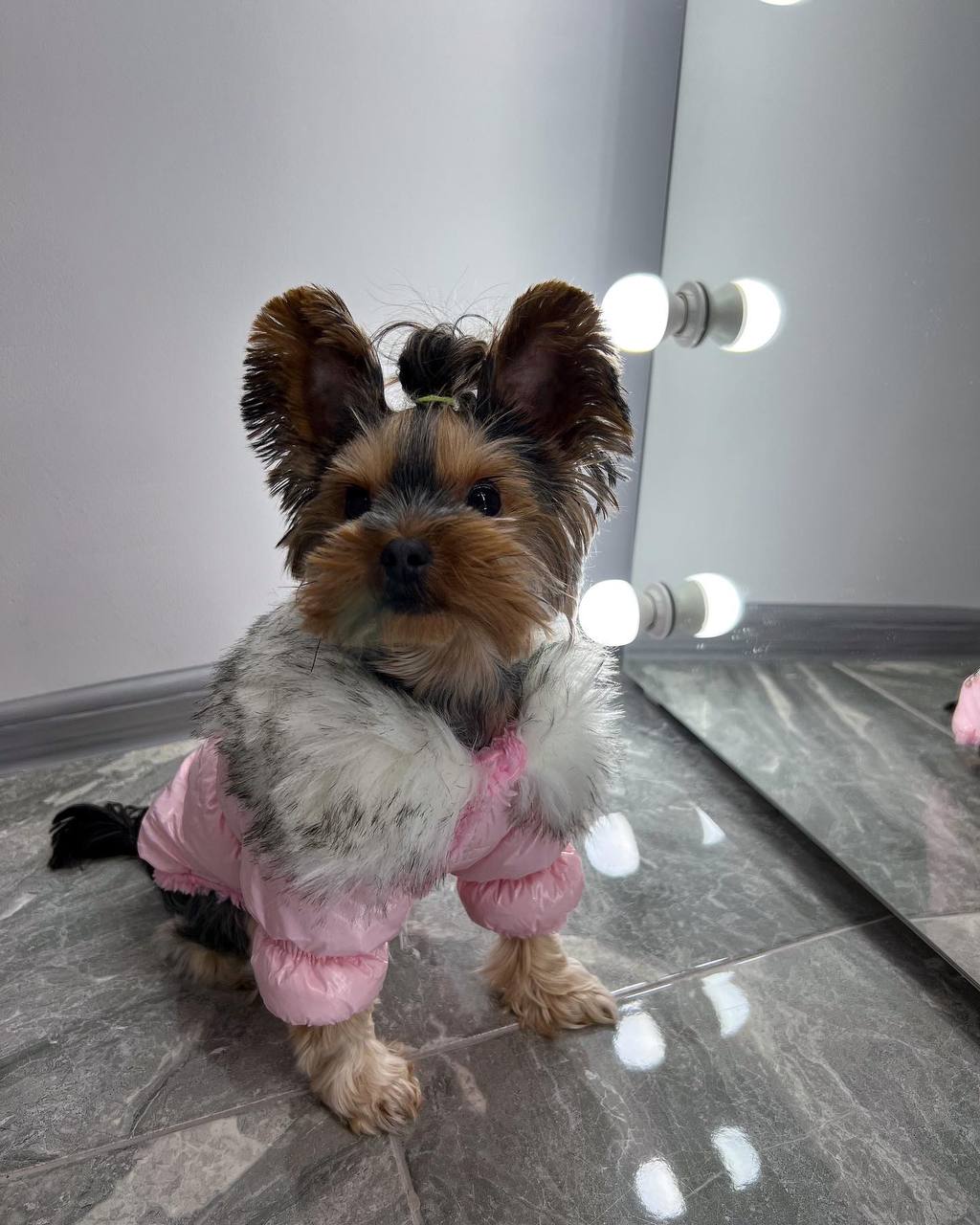 Winter jacket for girls💖🐶