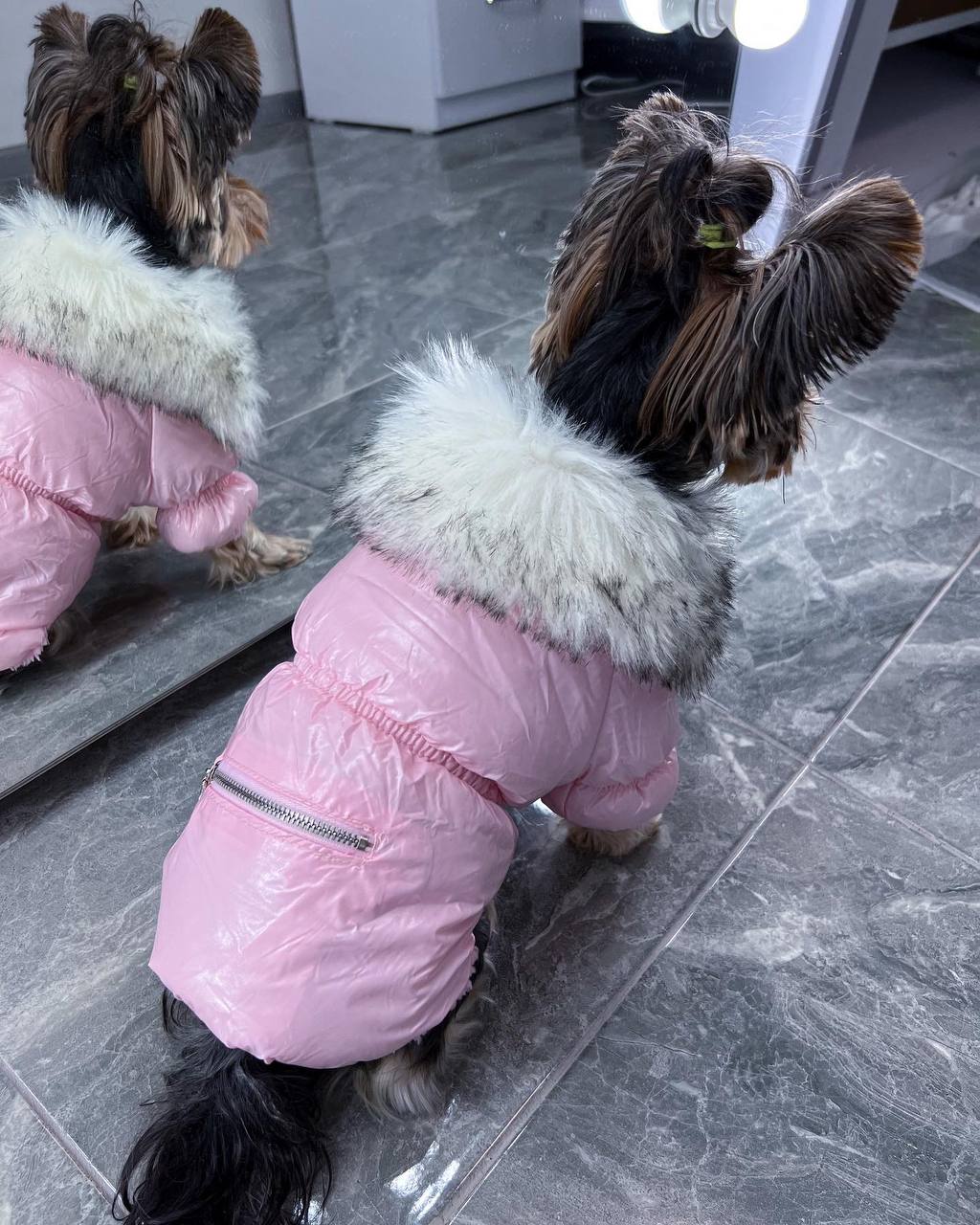 Winter jacket for girls💖🐶