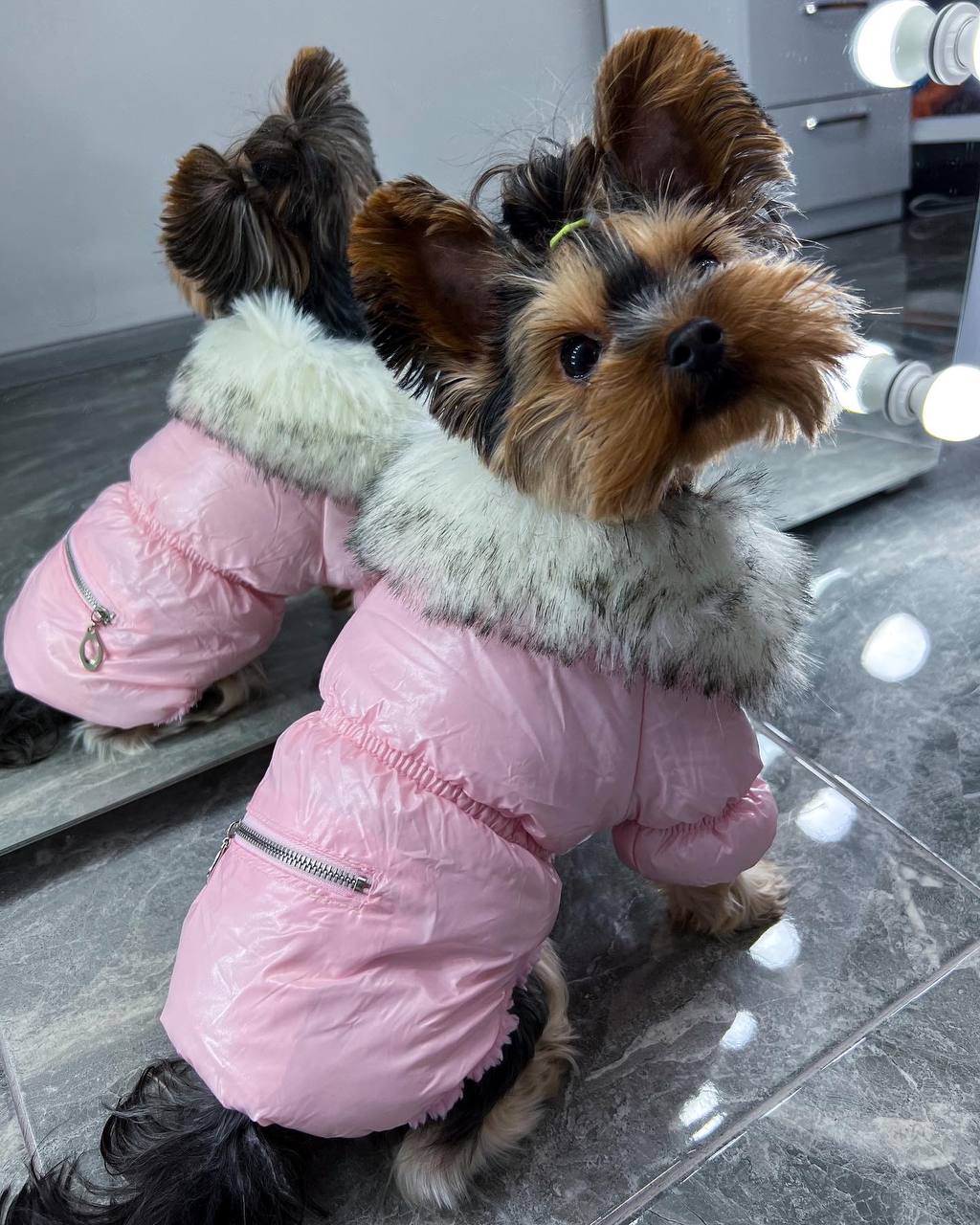 Winter jacket for girls💖🐶