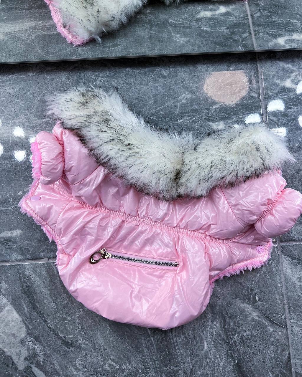 Winter jacket for girls💖🐶