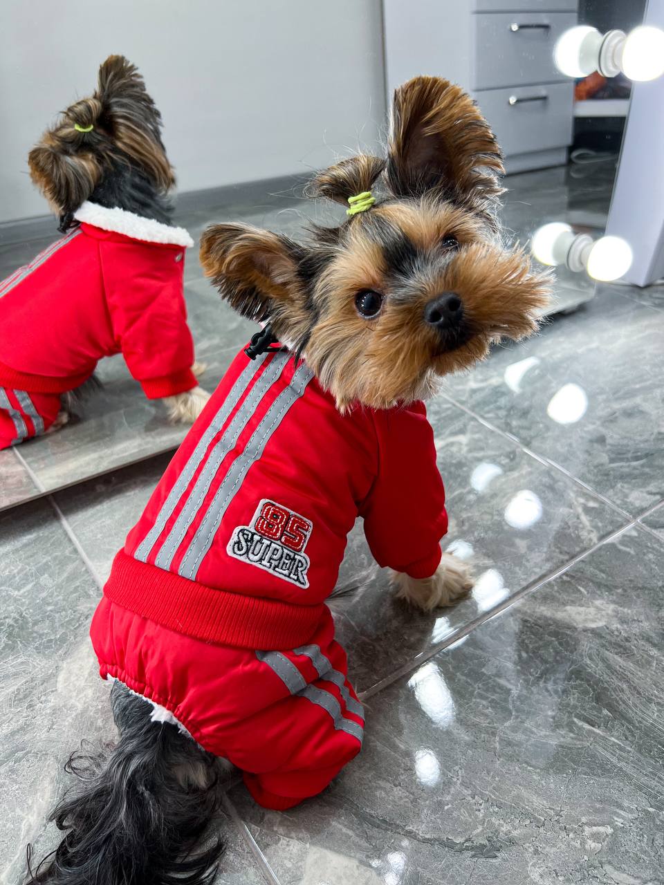 Soft fur overalls😍🐶❄️