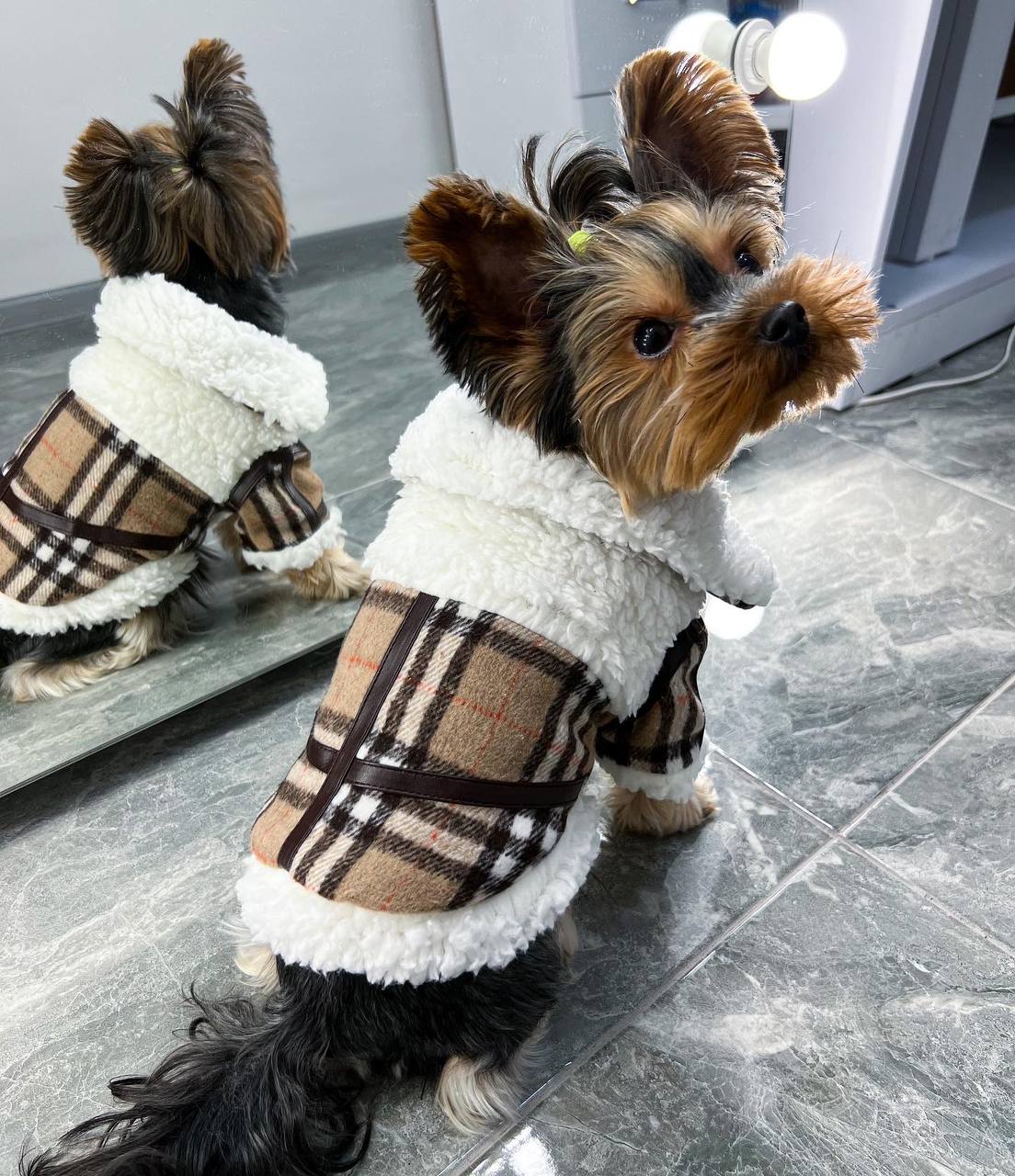 Stylish sheepskin coat for a dog