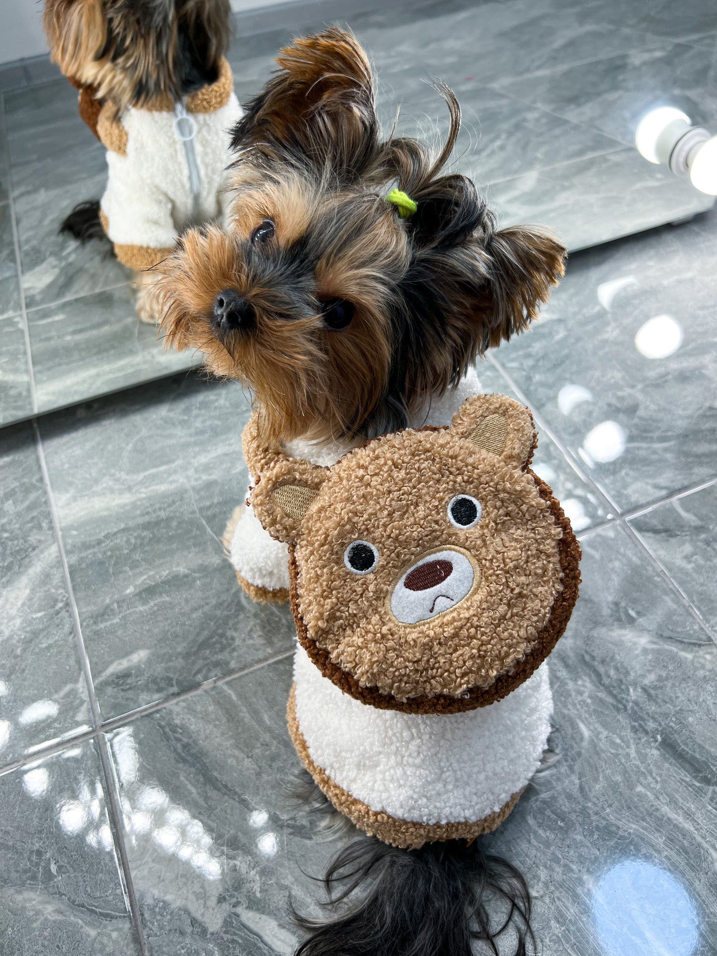 A jacket with a backpack😍🐶