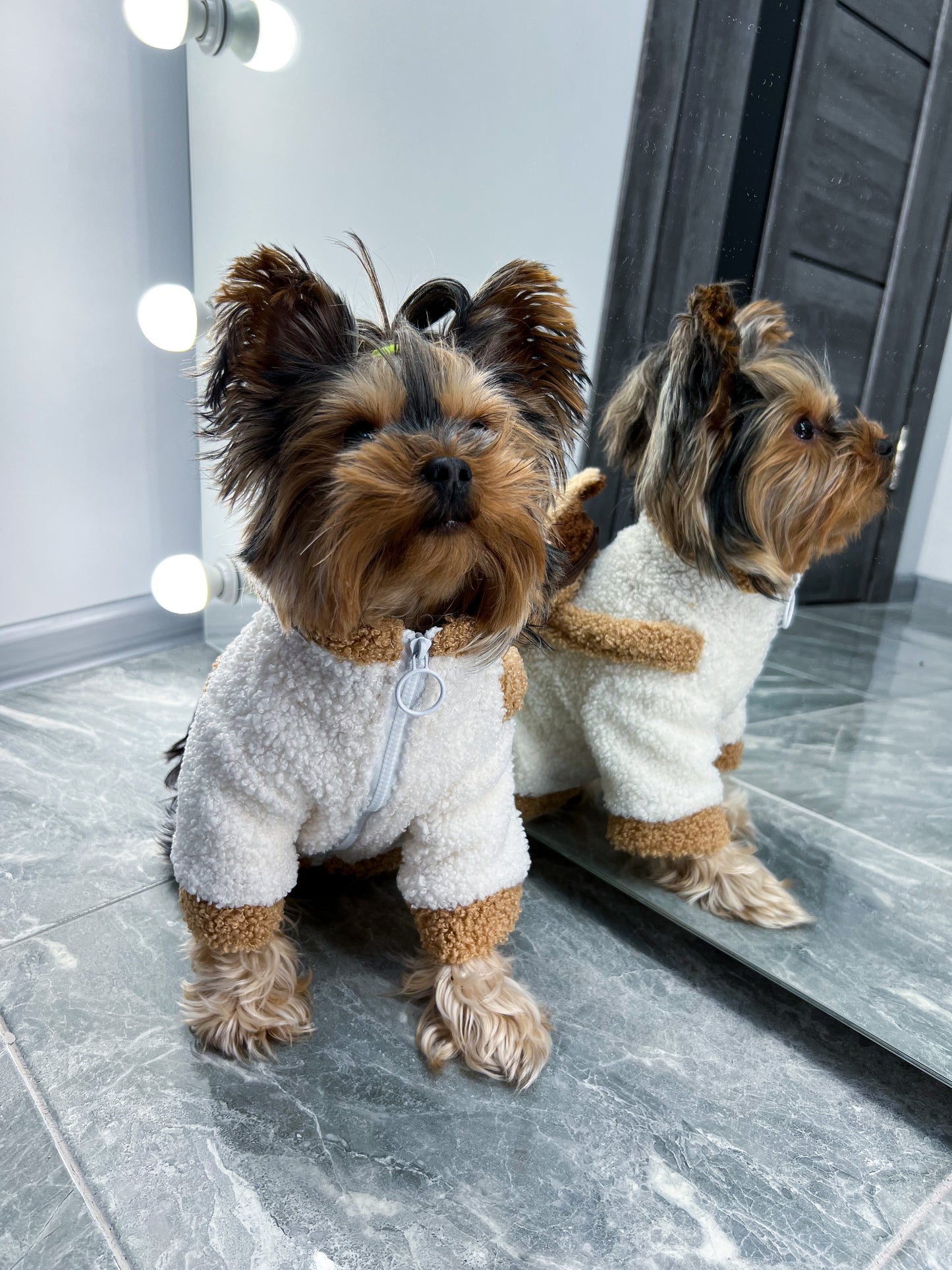 A jacket with a backpack😍🐶