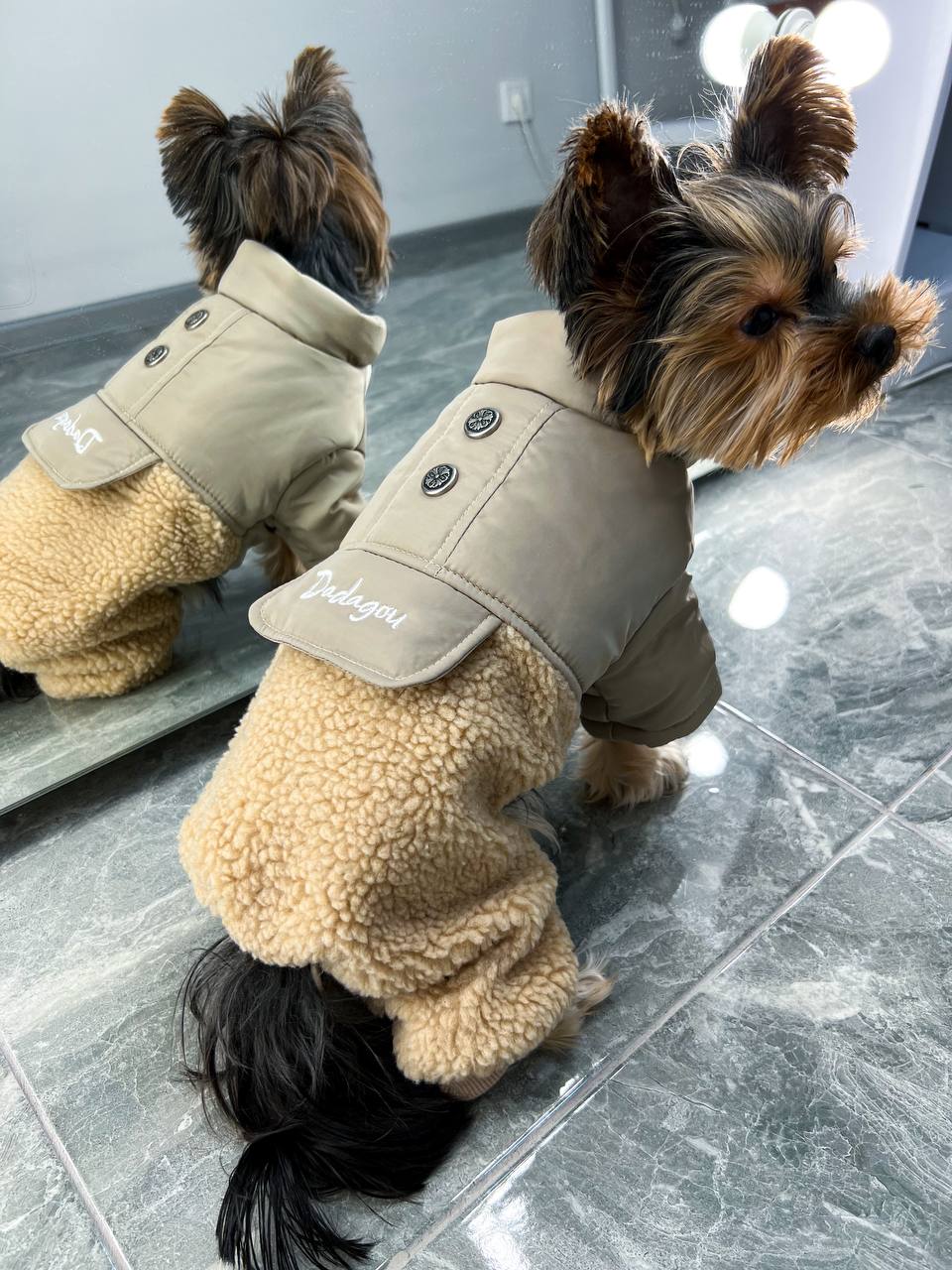 Stylish jumpsuit 🐶