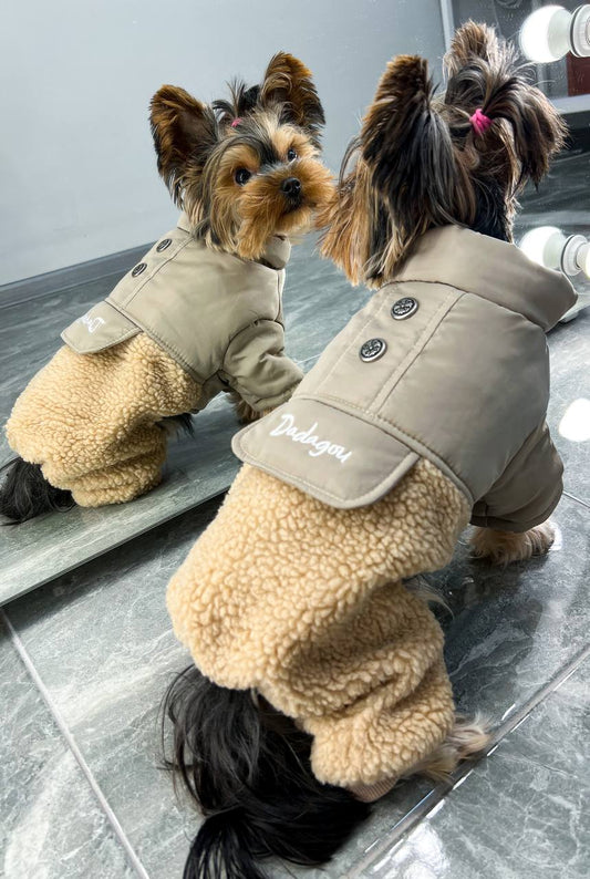 Stylish jumpsuit 🐶