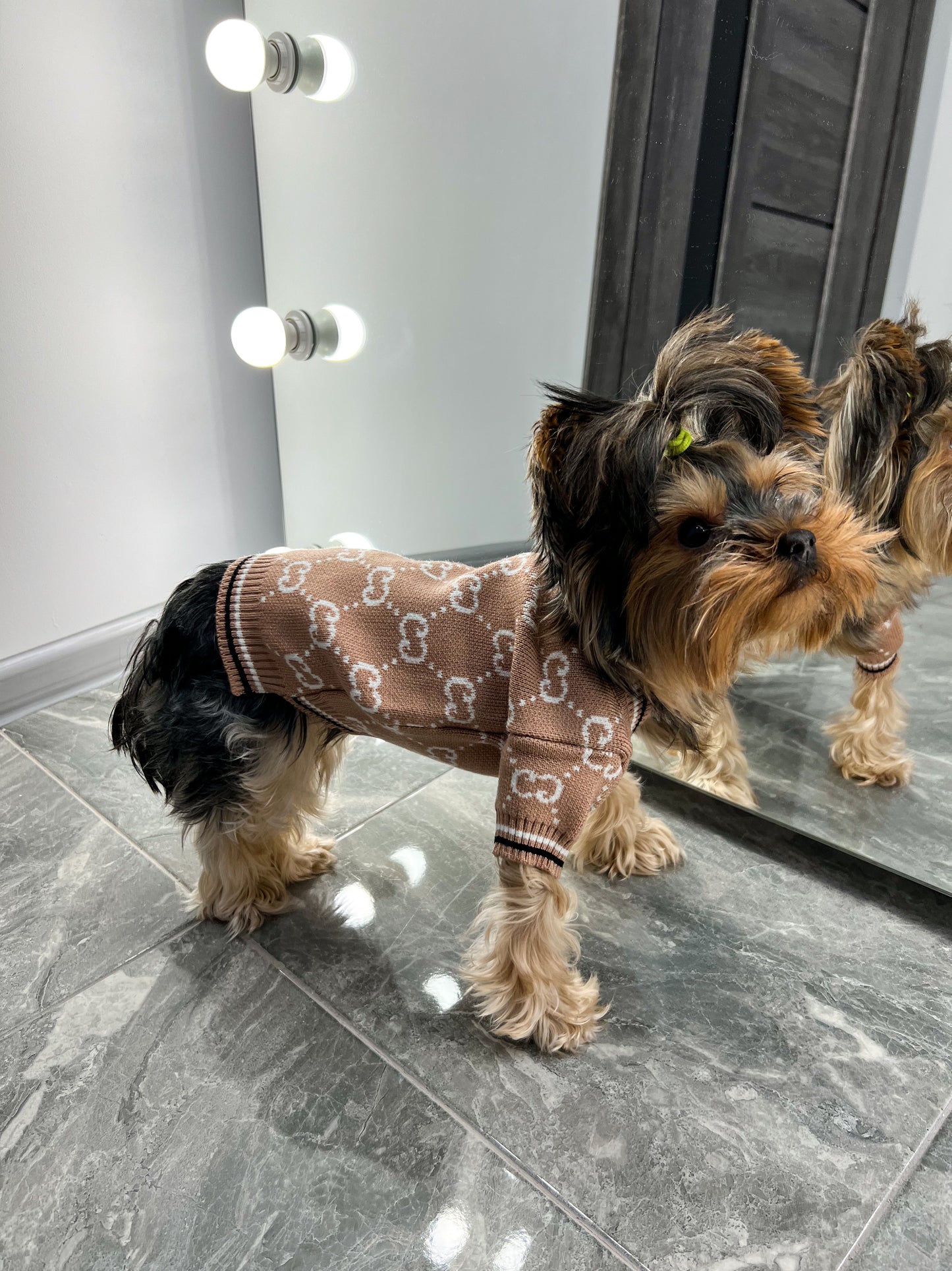 An incredible cardigan for your pet