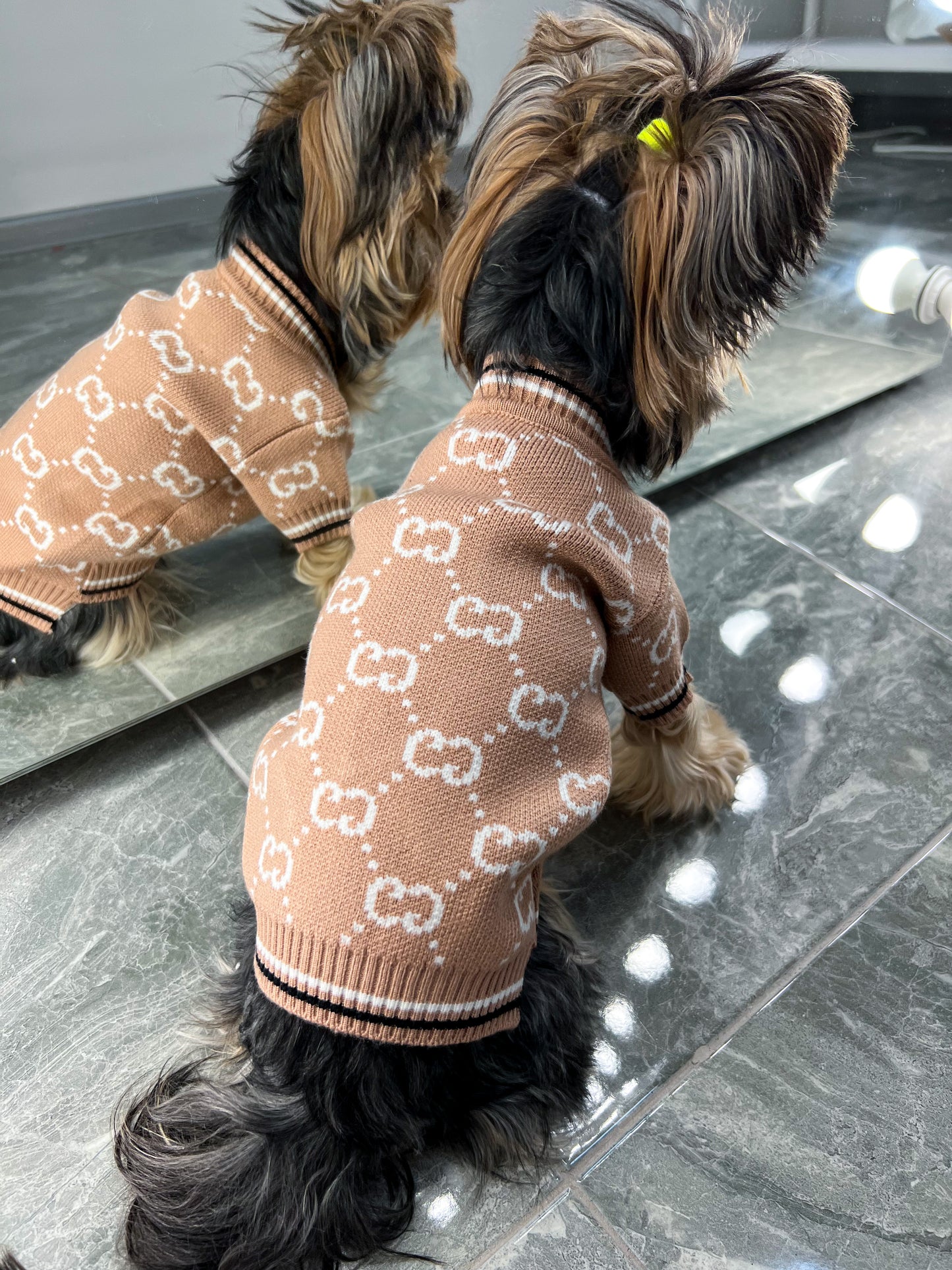 An incredible cardigan for your pet