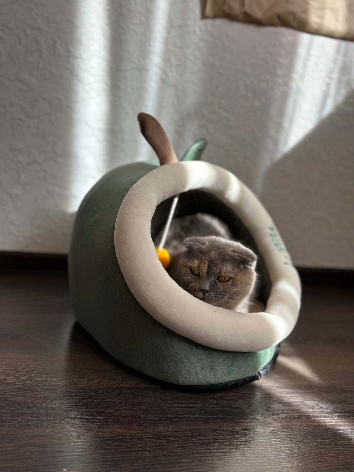 House bed for cats and dogs