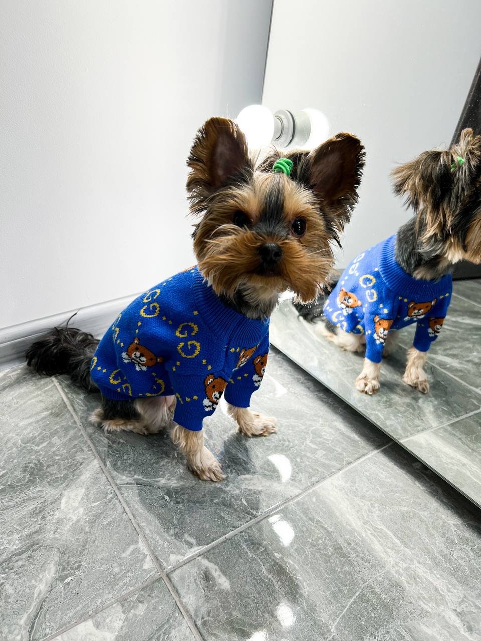 The perfect sweater for your ponytail 🐶