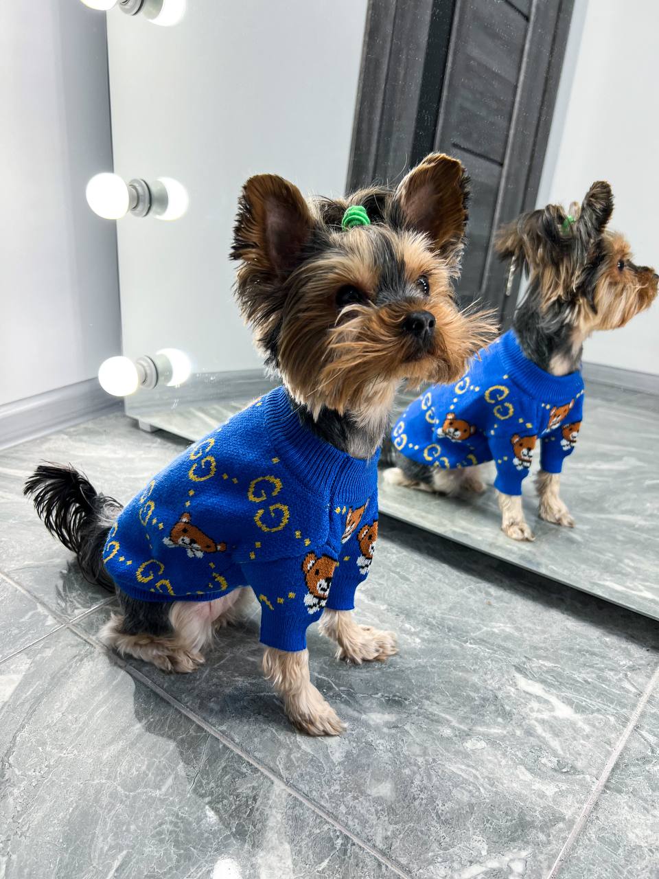 The perfect sweater for your ponytail 🐶