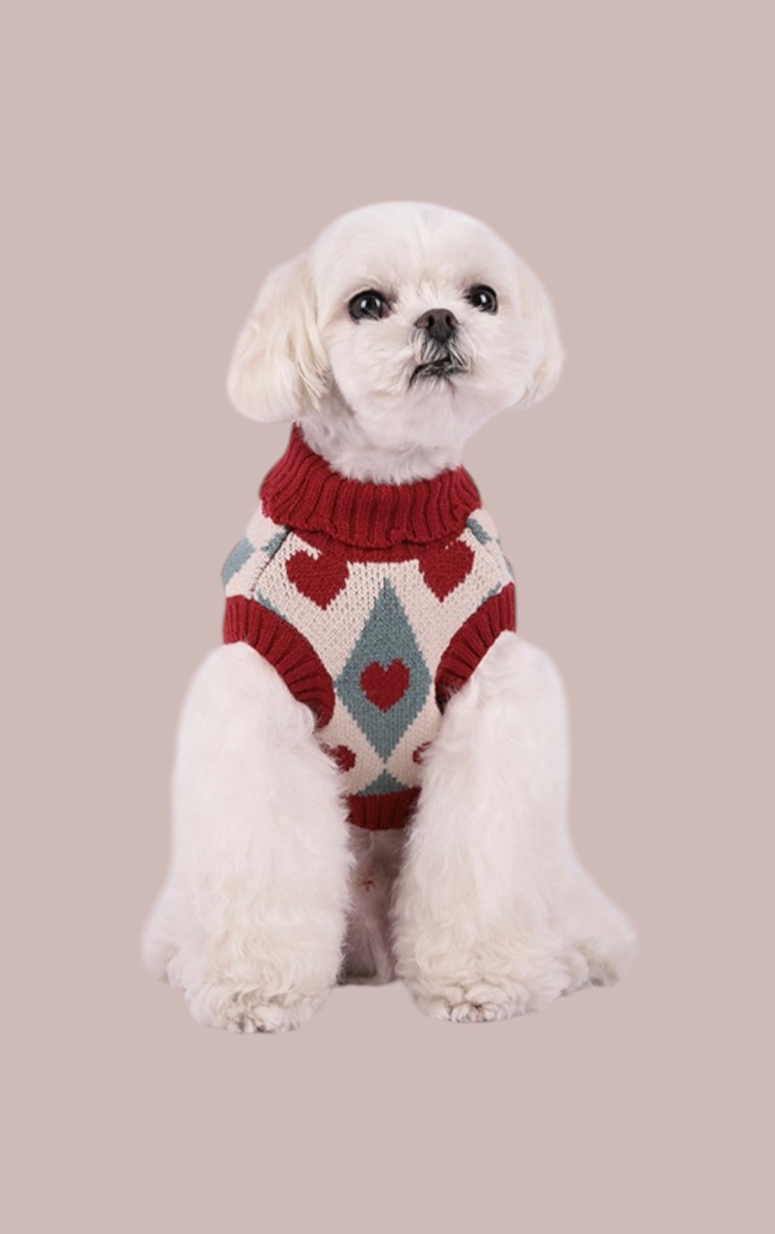 Dog Sweater