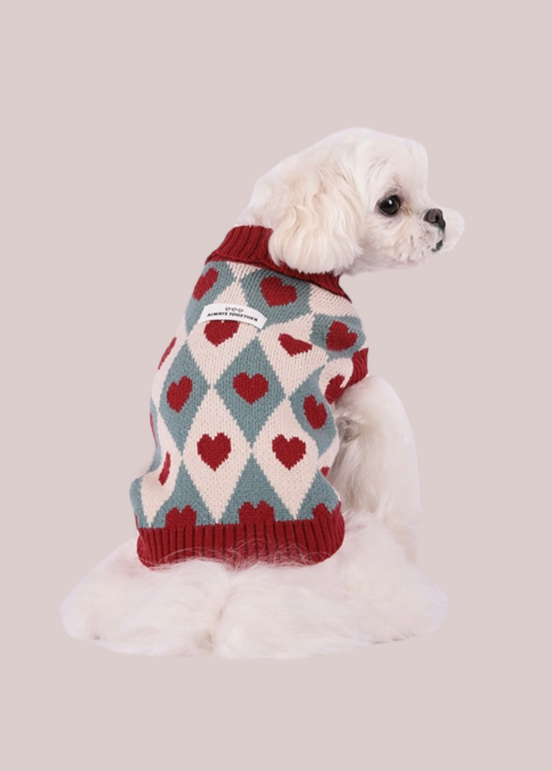 Dog Sweater