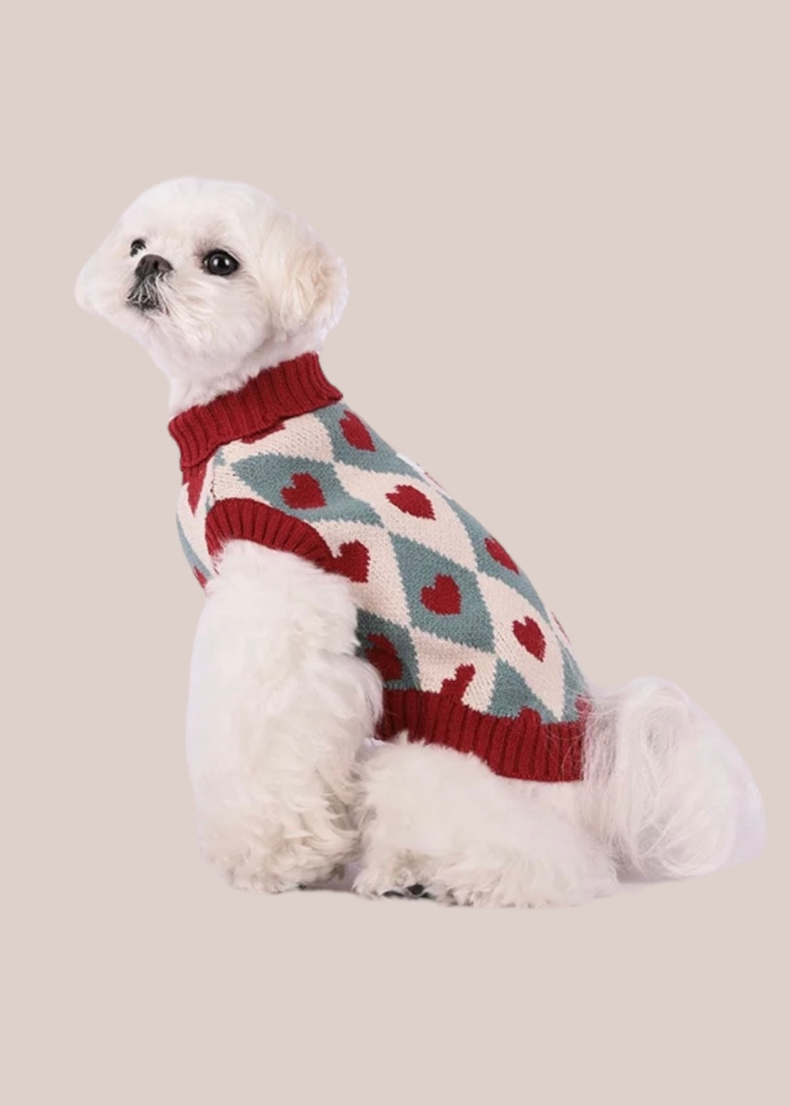 Dog Sweater