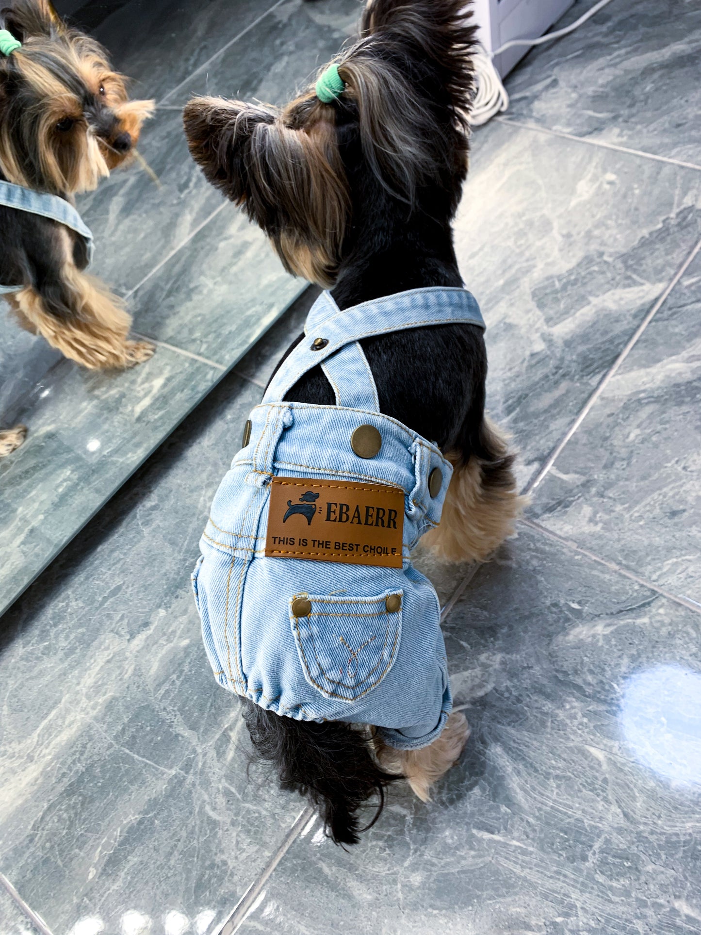 Stylish jeans for your pet 🐶