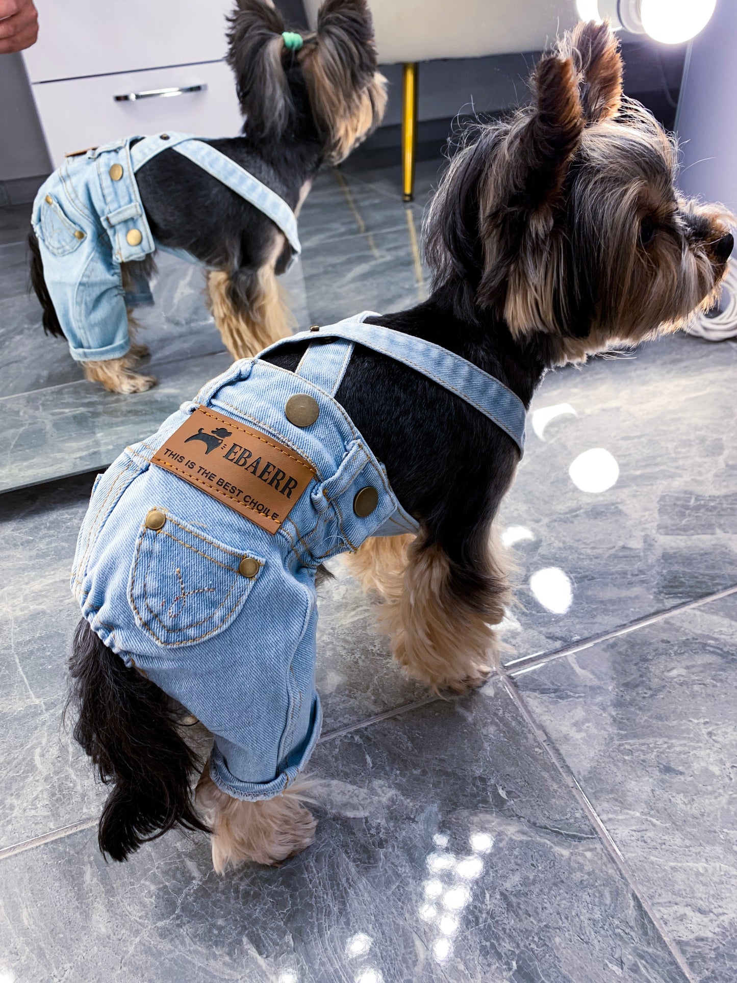 Stylish jeans for your pet 🐶