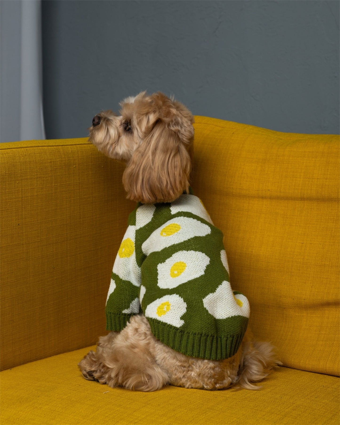 Cozy Pup – warmth & style for your furry friend