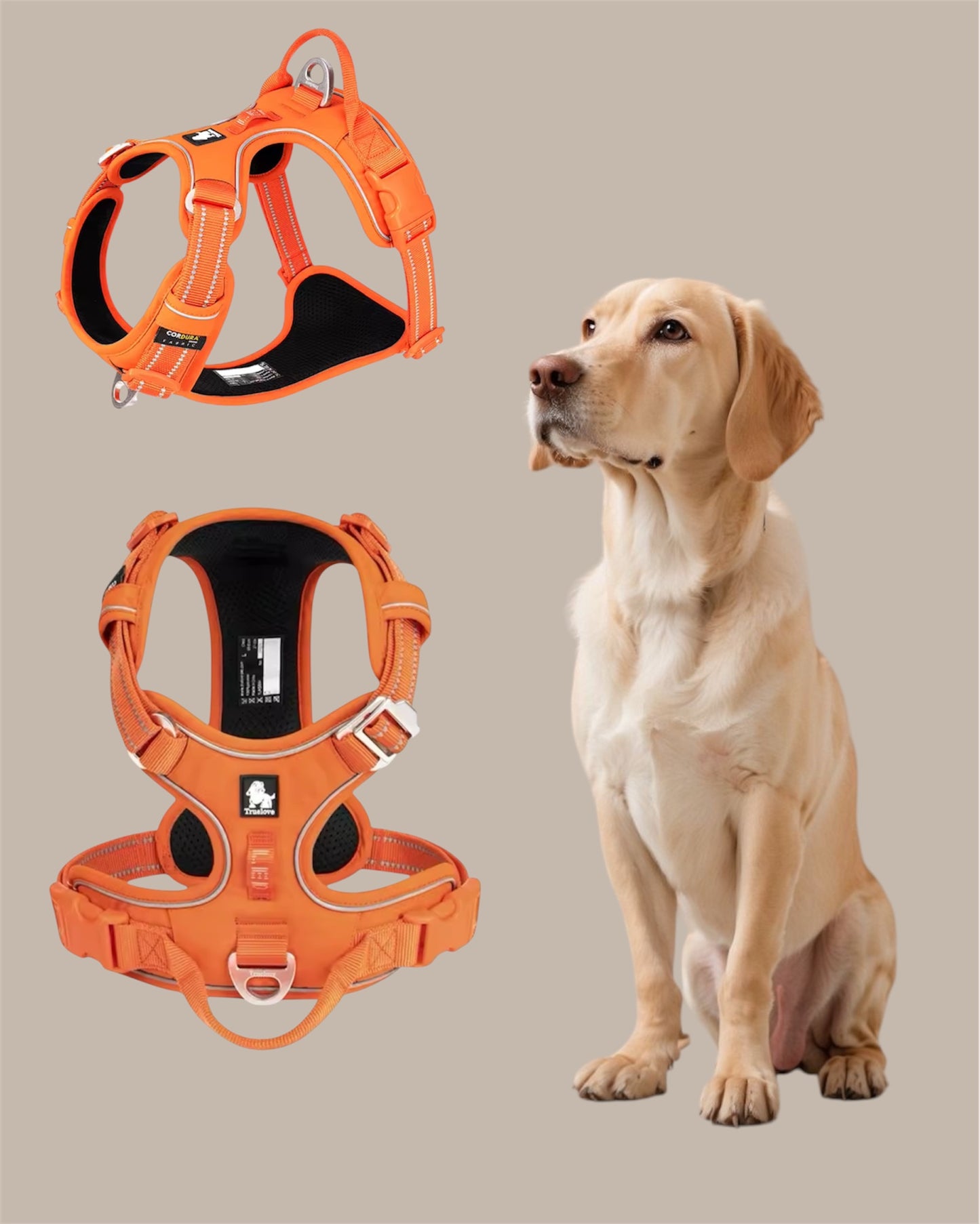 Pawfect Fit – The Ultimate Harness for Dogs of All Sizes!