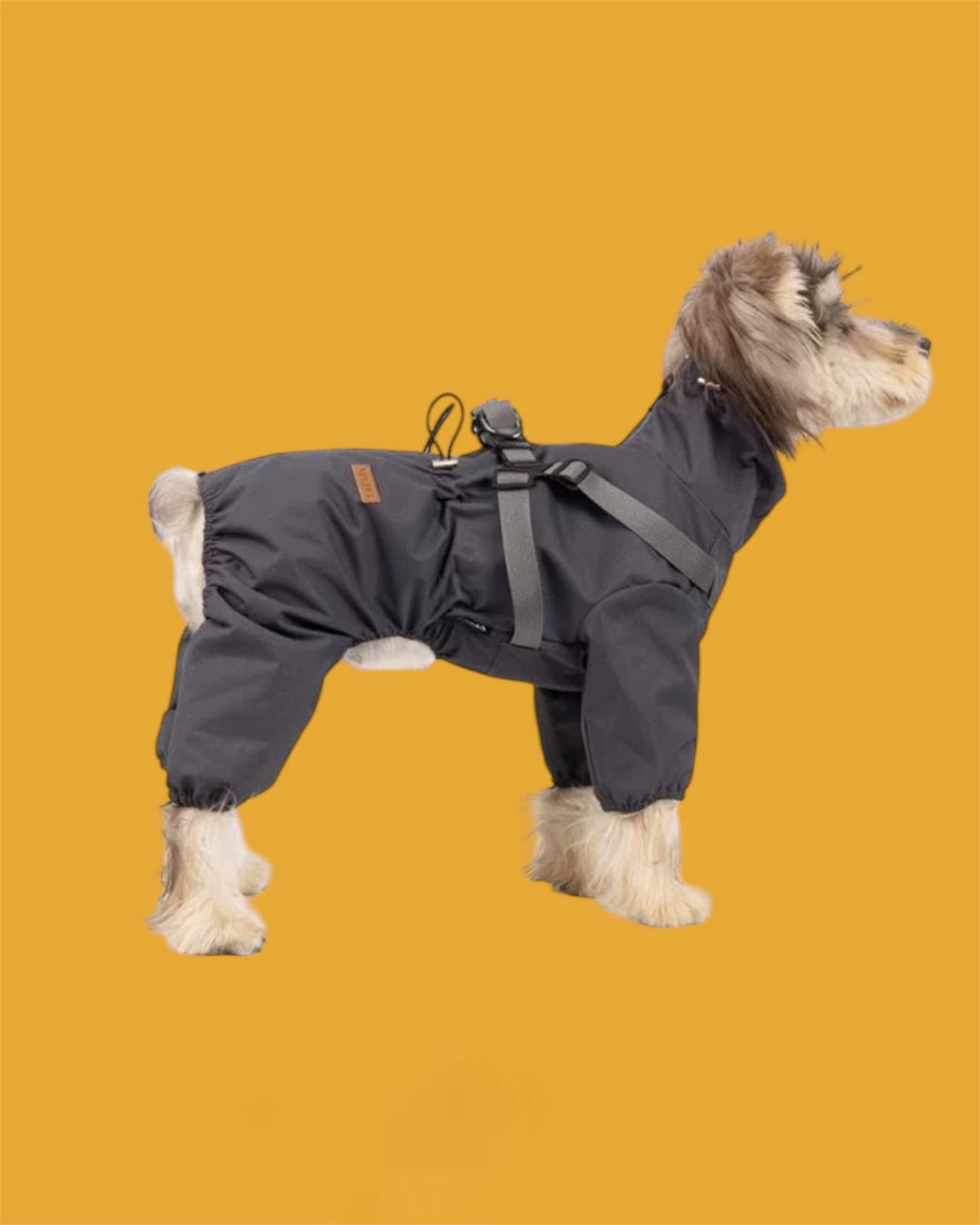 Raincoat-overalls protection from rain and wind