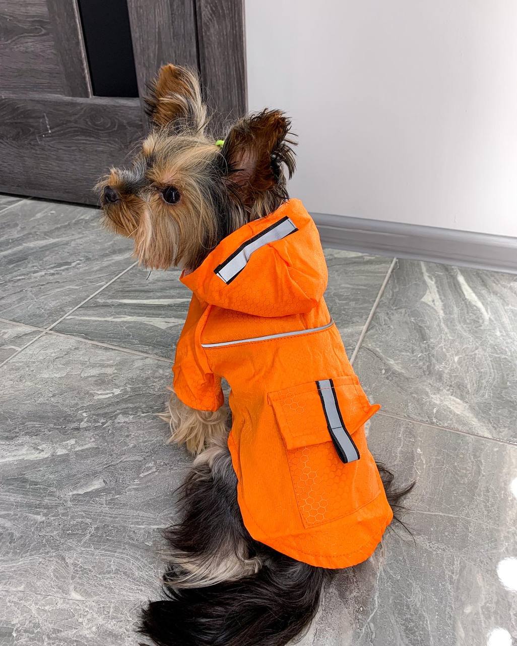 A practical raincoat for a dog